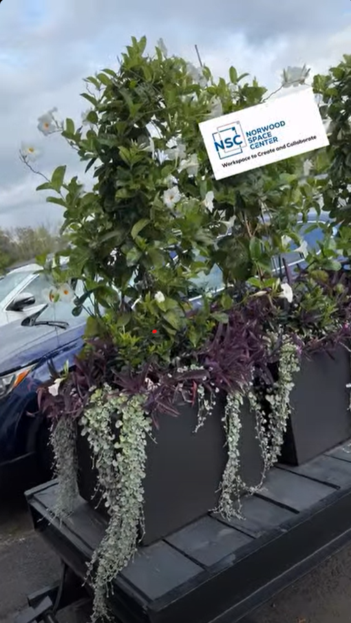 showcasing-our-outdoor-plants-by-viridis-design-gardens-1