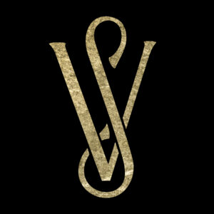 Vidya S. Logo - non transparent